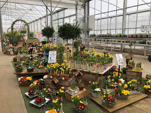 Photo n°2 de Bouilly Horticulture à Tigy ()