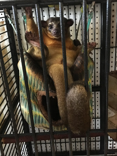 Pet Store «Mike Pet Center LLC», reviews and photos, 133 NJ-35, Neptune City, NJ 07753, USA