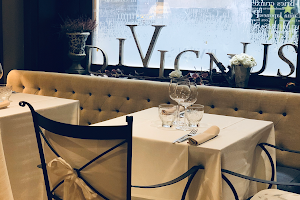 Restaurant Divicnus image