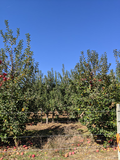 Produce Market «Parks Farms», reviews and photos, 525 NJ-24, Chester, NJ 07930, USA