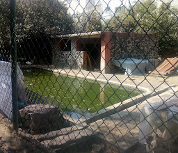 Ecological Park Santa Ursula Brotherhood Coyoacan Arlington photo