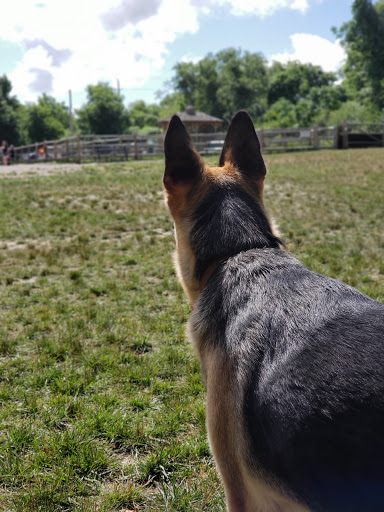 Dog Park «Portsmouth RI Dog Park», reviews and photos, 77 Bradford Ave, Portsmouth, RI 02871, USA