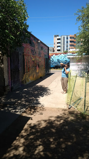 Bar «The Lost Leaf», reviews and photos, 914 N 5th St, Phoenix, AZ 85004, USA