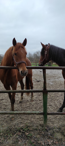 Reitanlage Gut Hellerhof