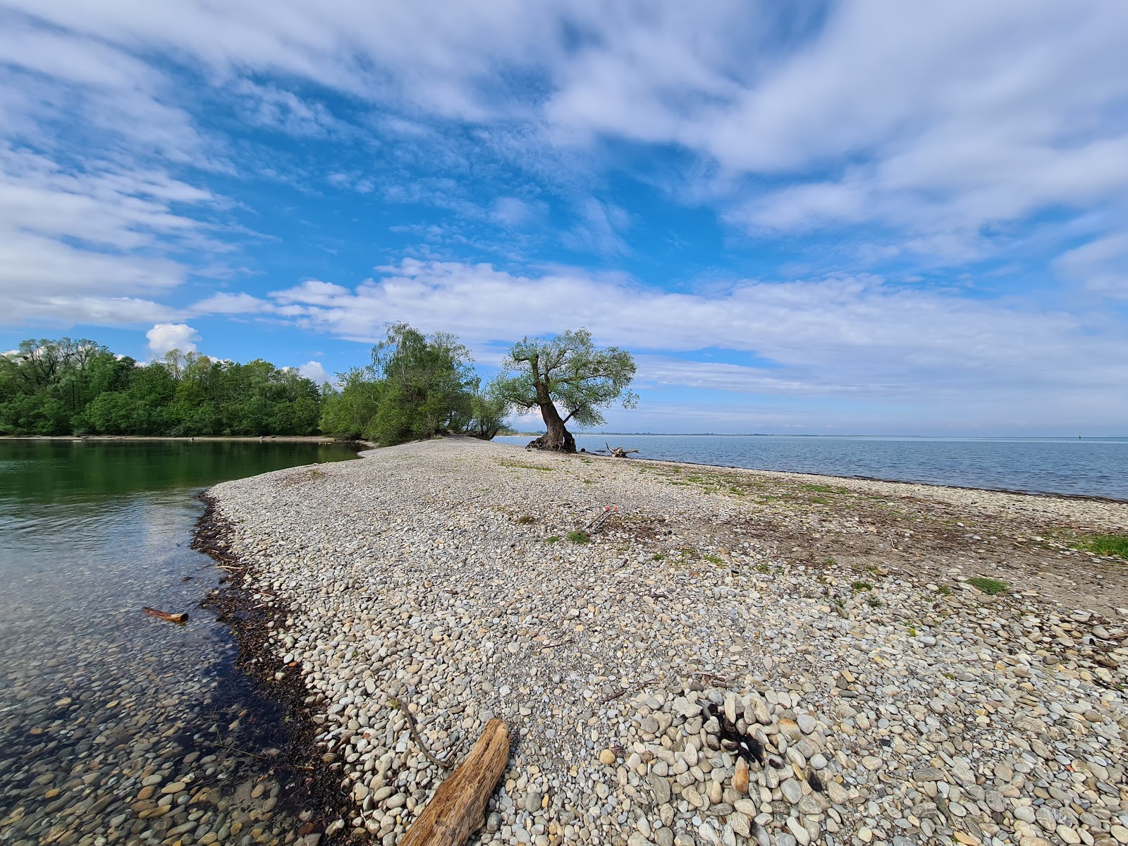 Photo de Strand auf der Halbinsel am Wocherhafen avec un niveau de propreté de très propre