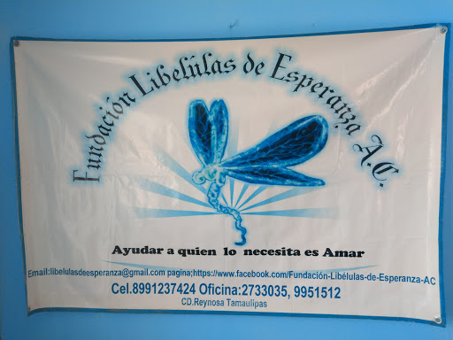 Fundación Libélulas de Esperanza, A.C.