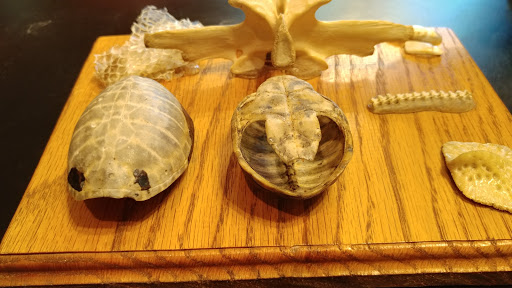 Nature Preserve «Crystal Springs Preserve», reviews and photos, 1609 Crystal Springs Rd, Crystal Springs, FL 33524, USA