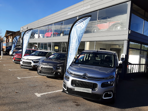 Mcl Auto - AUTO PRIMO