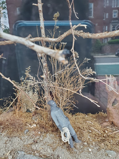 Museum «Witch Dungeon Museum», reviews and photos, 16 Lynde St, Salem, MA 01970, USA