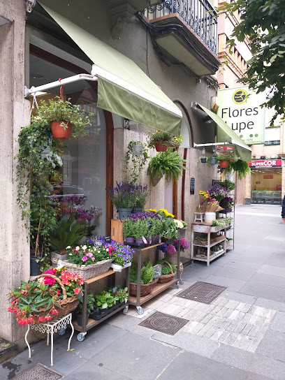 Flores Lupe en Gijón