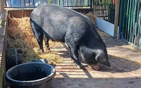 Zimmerhoeve kinderboerderij image