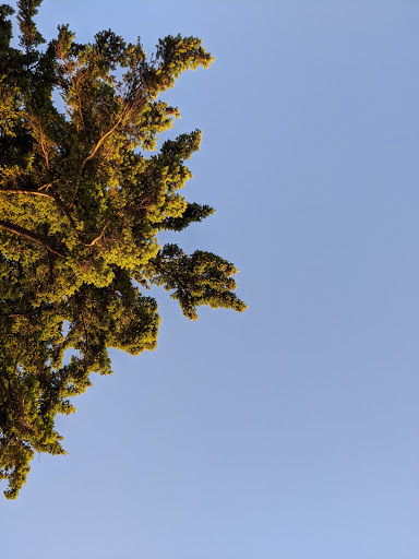 Park «Browns Point Light House Park», reviews and photos, 201 Tulalip St NE, Tacoma, WA 98422, USA