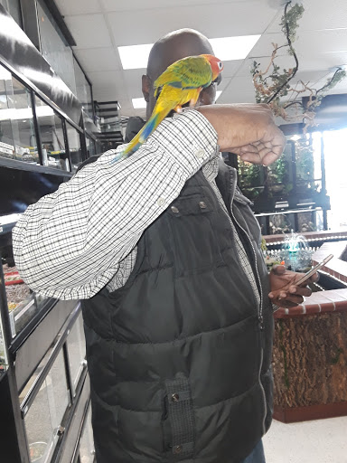 Pet Store «Animal Lovers Pet Shop», reviews and photos, 24028 Vista Montana, Torrance, CA 90505, USA