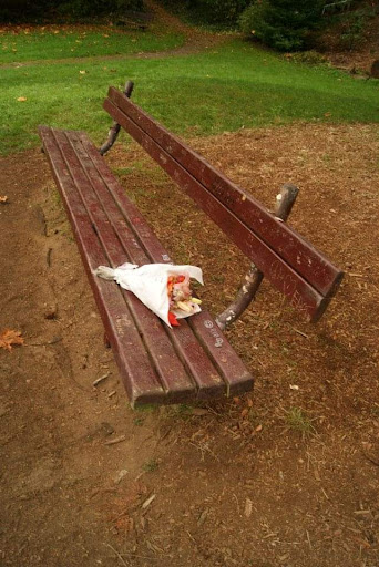 Park «Viretta Park», reviews and photos, 151 Lake Washington Blvd E, Seattle, WA 98112, USA