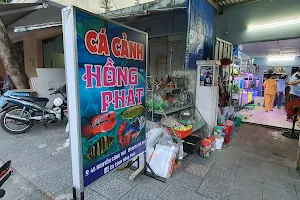 Cá Cảnh HỒNG PHÁT image