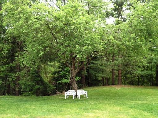 Funeral Home «Ely Funeral Home», reviews and photos, 3316 NJ-33, Neptune City, NJ 07753, USA