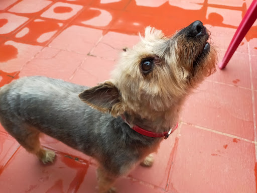 Clínica Veterinaria San Miguel en Zaragoza