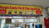 Exotic animal shops in Delhi