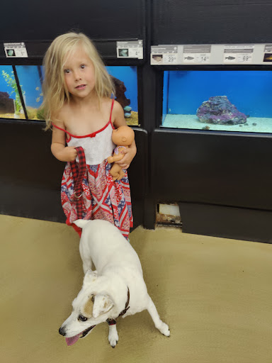 Pet Supply Store «Petco Animal Supplies», reviews and photos, 25 Hazard Ave, Enfield, CT 06082, USA