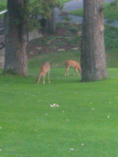 Golf Club «Hidden Greens Golf Course», reviews and photos, 12977 200th St E, Hastings, MN 55033, USA