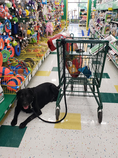 Pet Supply Store «Pet Supplies Plus», reviews and photos, 2100 W Grand River Ave, Okemos, MI 48864, USA