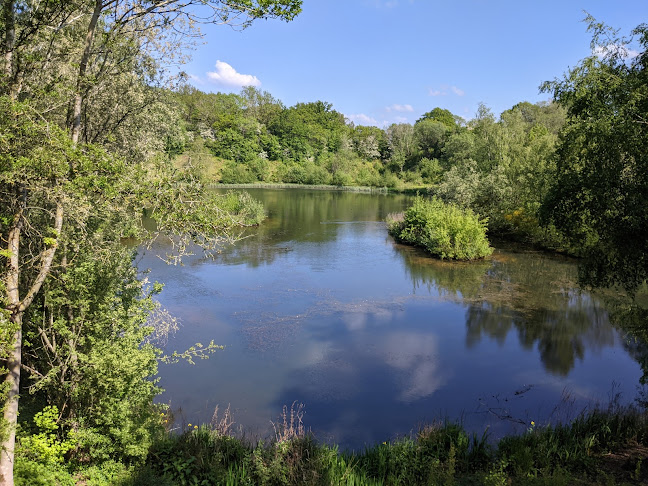 Reviews of Ryton Pools Country Park in Coventry - Museum