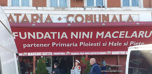 Fundația Nini Macelaru - Strada Griviței 15, Ploiești 100044, Romania