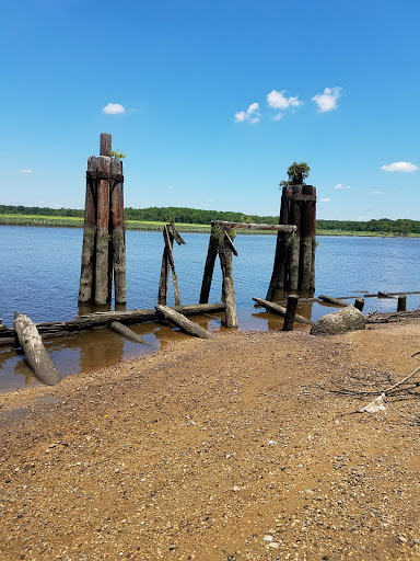 Nature Preserve «Maurice River Bluffs Preserve», reviews and photos, Silver Run Rd, Millville, NJ 08332, USA