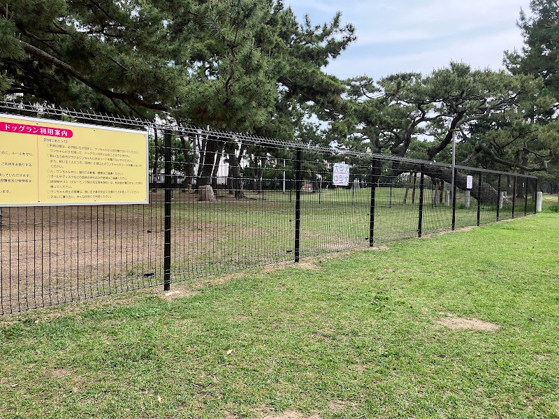 浜寺公園ドッグラン