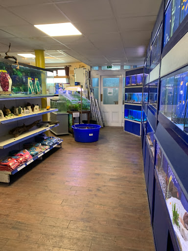 Fish shops Oldham