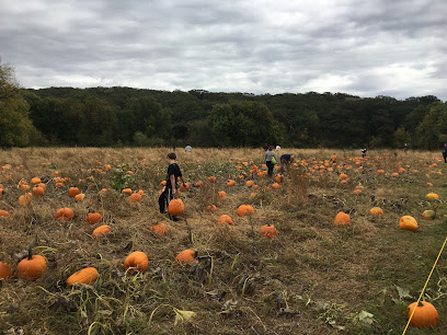 Riverview Christmas Tree Farm and Pumpkin Festival