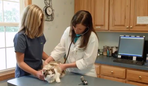 Oberlin Animal Hospital veterinary clinic