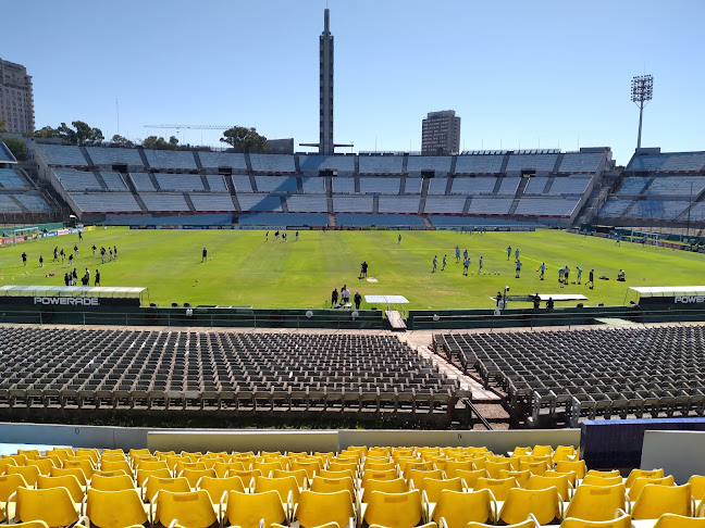 Estadio Centenario - Campo de fútbol