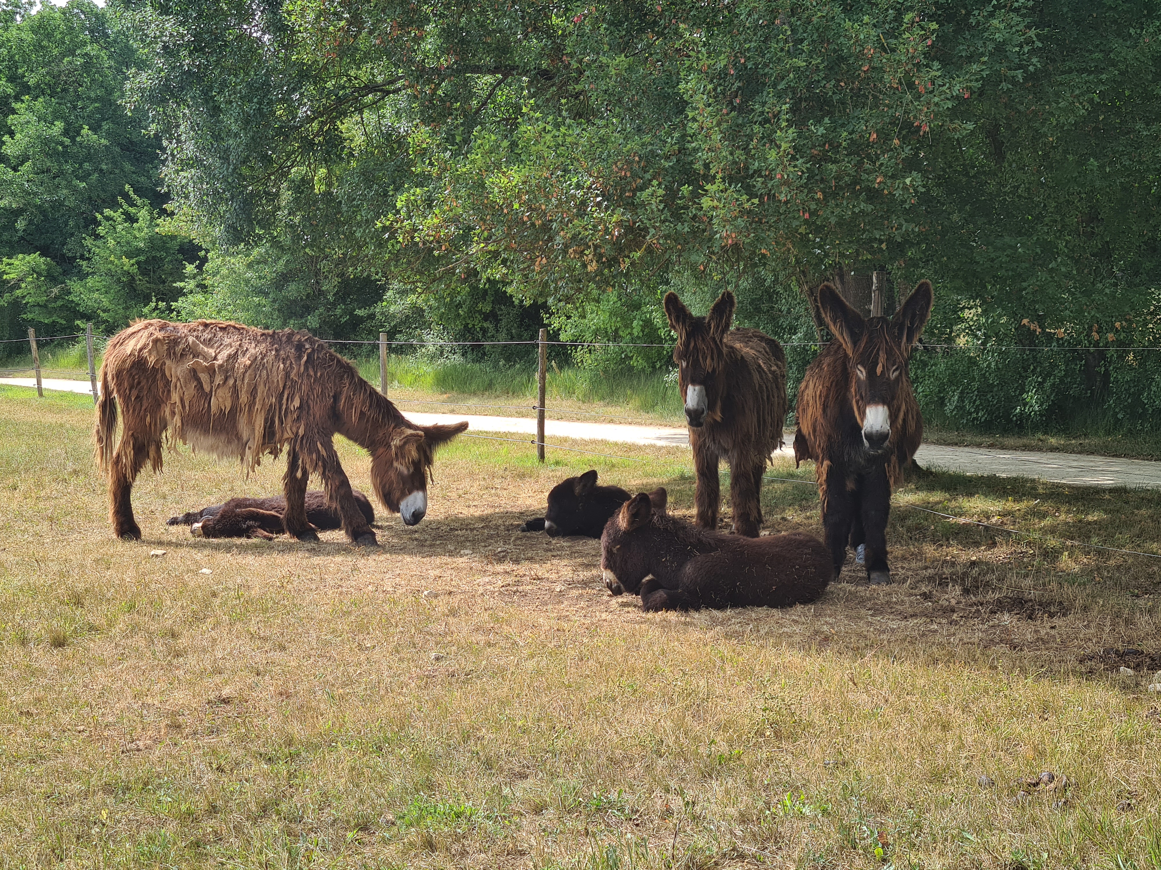 Photo n° 6 de l'avis de Christophe.u fait le 05/06/2022 à 16:34