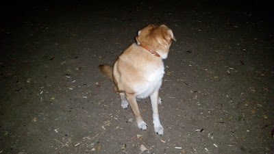 Photos of Stantsionna gradina