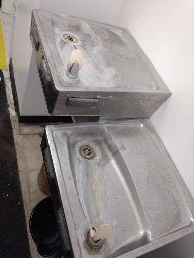 Dollar Store «Dollar Tree», reviews and photos, 14002 Hoard Dr #400, Noblesville, IN 46060, USA