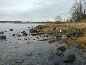 The Friends of Read Wildlife Sanctuary - photo 79