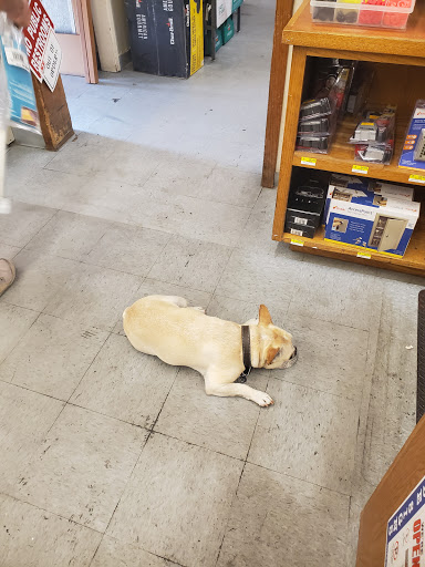 Long Beach Ace Hardware image