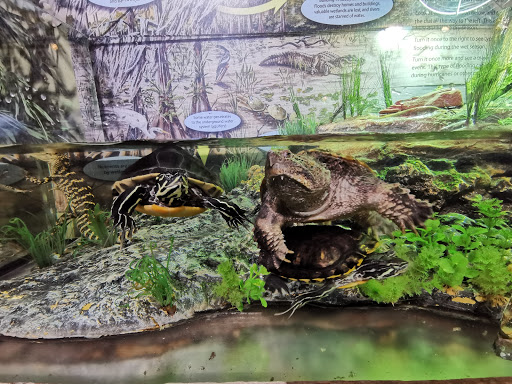 Aquarium «The River Center», reviews and photos, 805 US-1, Jupiter, FL 33477, USA