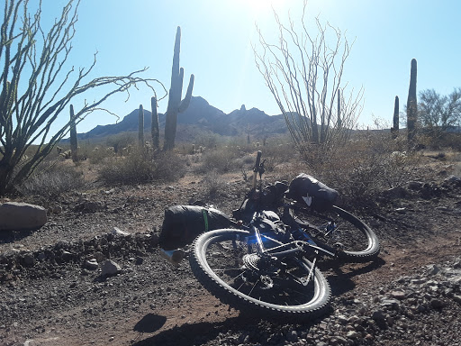 Bicycle Store «Trek Bicycle Store of West Phoenix», reviews and photos, 13085 W McDowell Rd, Avondale, AZ 85392, USA