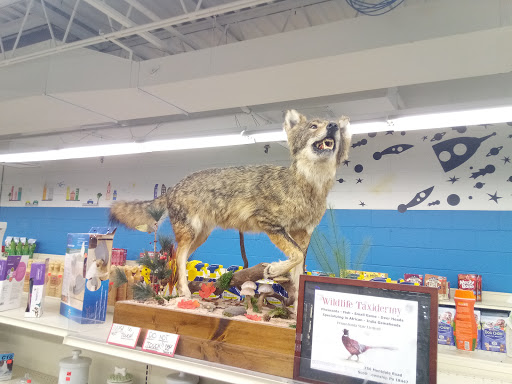 Grocery Store «P & R Discount Grocery», reviews and photos, 600 Scranton Carbondale Hwy, Eynon, PA 18403, USA