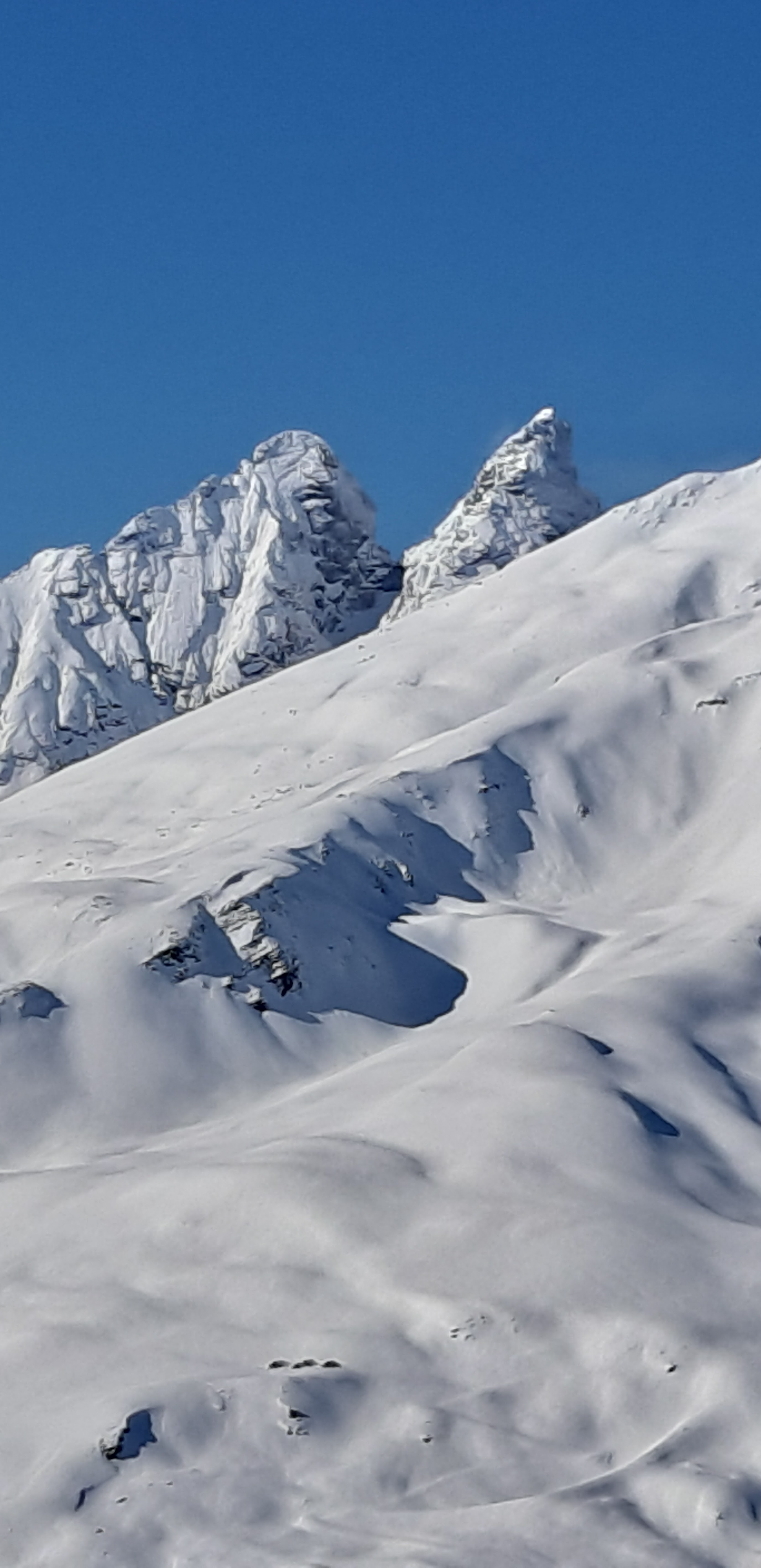 Photo n° 2 de l'avis de Denis.m fait le 31/01/2020 à 17:36