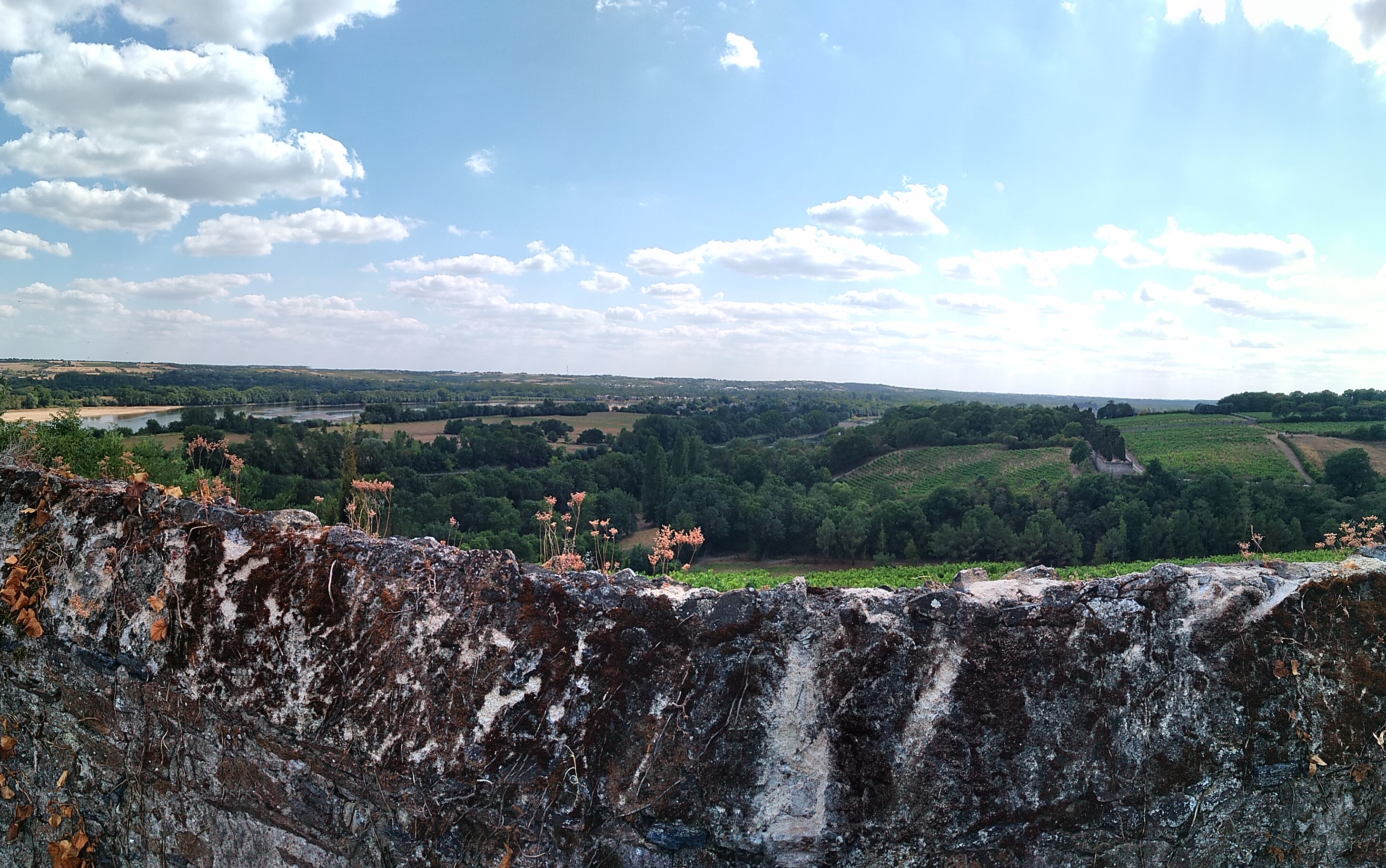 Photo n° 10 de l'avis de BllB. fait le 02/08/2019 à 20:13