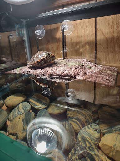 Pet Supply Store «Petco Animal Supplies», reviews and photos, 308 E Meighan Blvd, Gadsden, AL 35903, USA