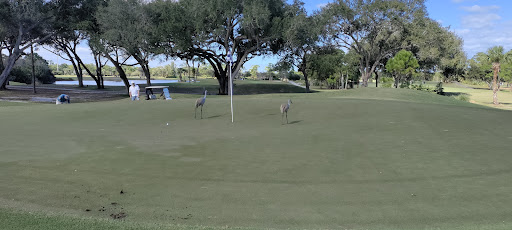 Golf Club «SANDRIDGE GOLF CLUB», reviews and photos, 5300 73rd St, Vero Beach, FL 32967, USA