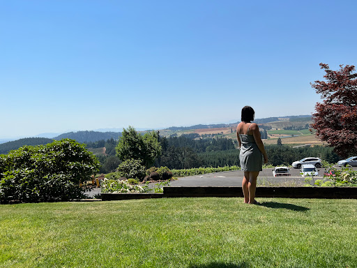 Vineyard «Willamette Valley Vineyards», reviews and photos, 8800 Enchanted Way SE, Turner, OR 97392, USA