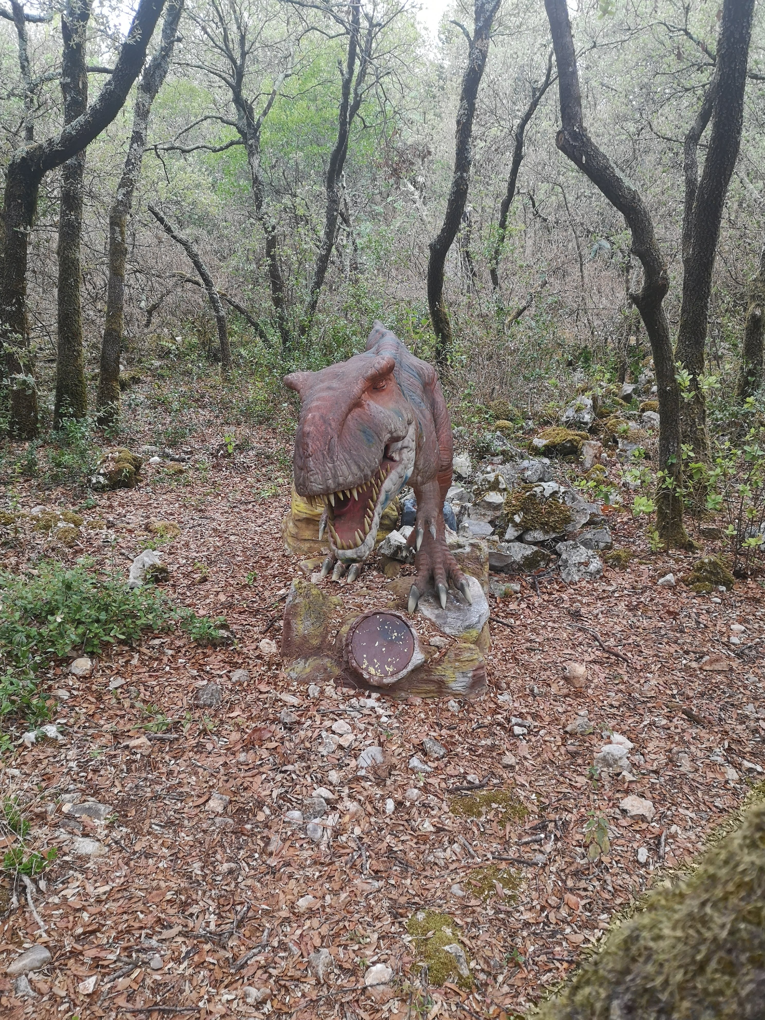 Photo n° 18 de l'avis de Grazziella.e fait le 27/08/2019 à 12:35