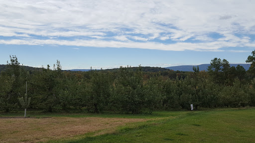 Bowling Alley «WALDEN LANES INC», reviews and photos, 1492 NY-52, Walden, NY 12586, USA