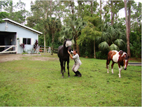 Gentle Animal Services - Photo 2 - Car repair in , West Palm Beach
