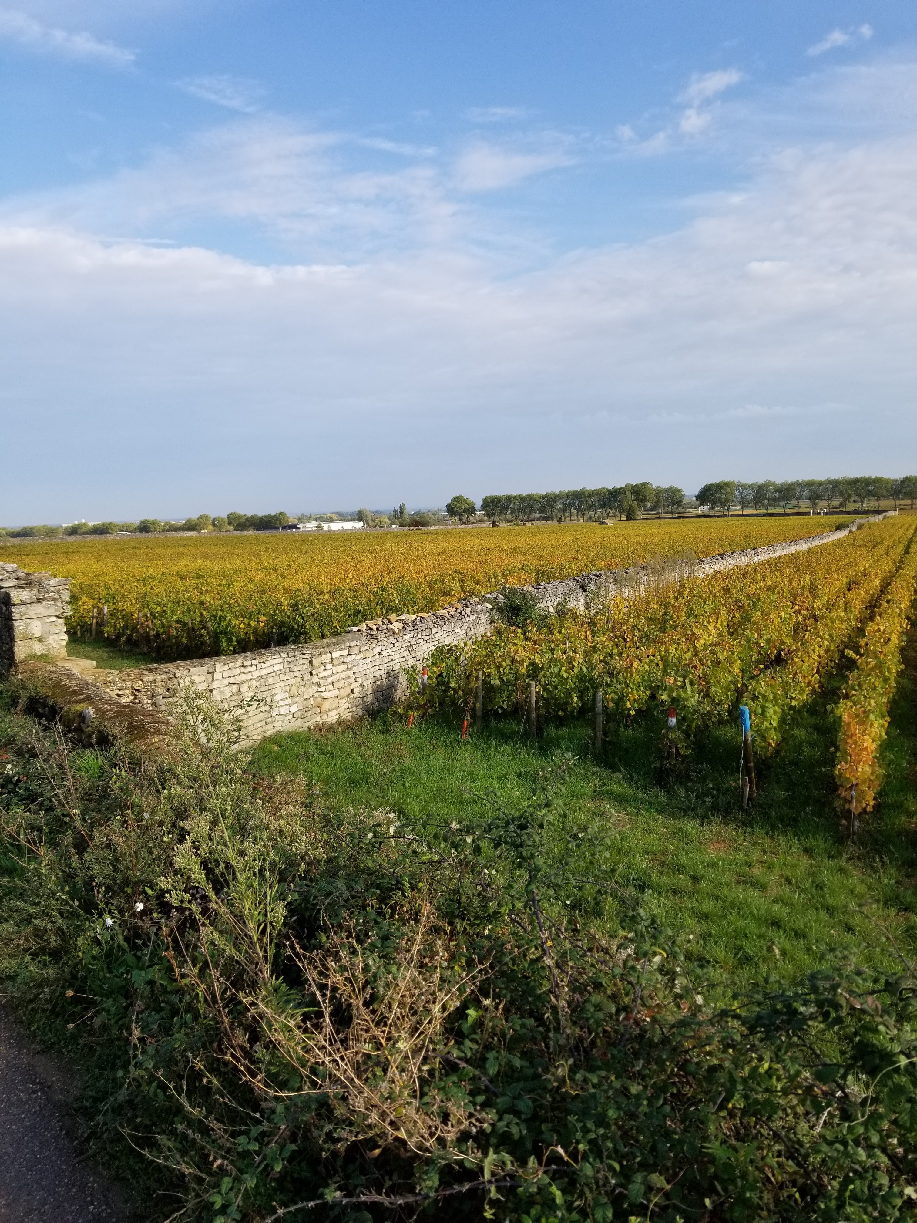 Photo n° 3 de l'avis de Ryan.o fait le 16/10/2019 à 13:15
